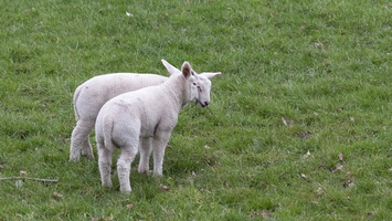 20210328-Loenen-108