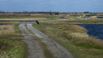 210327-Loenen-114