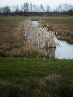 210327-Loenen-117