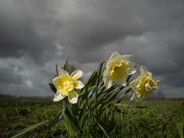 210327-Loenen-120