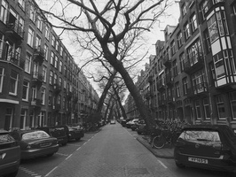 20210403-CosinaSW-15mm-Delta100-Amsterdam-103