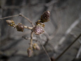 20210413-Avond-1006