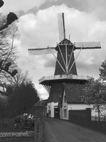 20210413-NikonF2-35mm-Delta400-Loenen-106