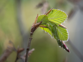 20210509-Loenen-123