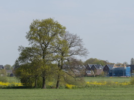 20210509-Loenen-130