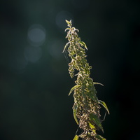 20210810-Loenen-103