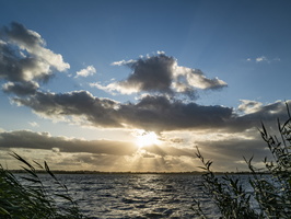 20210816-Loenen-1006