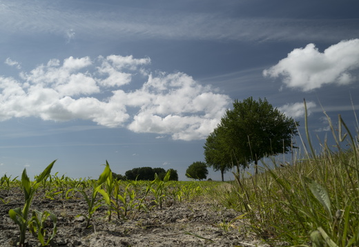 20210615-Dokkum-109