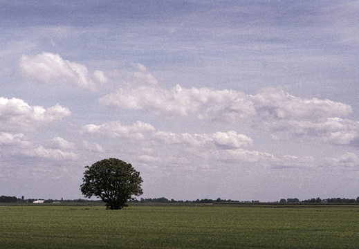 210600-Groningen-XD5-85mm-202-bewerkt