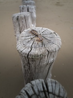 20210622-Zeeland-102
