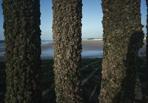 210600-Zeeland-Cosina-15mm-238