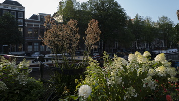 210723-Amsterdam-119
