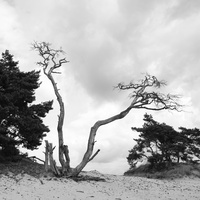 20210828-Kootwijkerzand-29