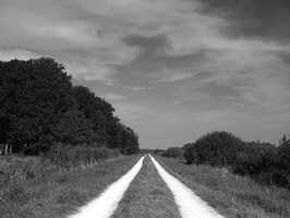 20210905-XD7-35mm-Delta100-Loenen-118