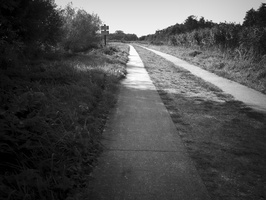 20210905-XD7-35mm-Delta100-Loenen-121