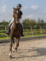 20210926-Morgenstond-163