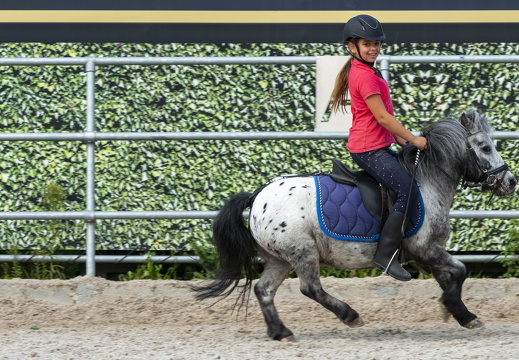 20210926-Morgenstond-212