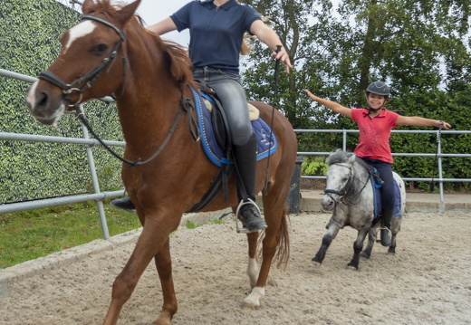 20210926-Morgenstond-236