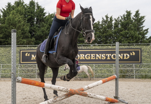 20210926-Morgenstond-284