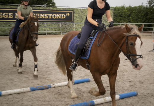 20210926-Morgenstond-314