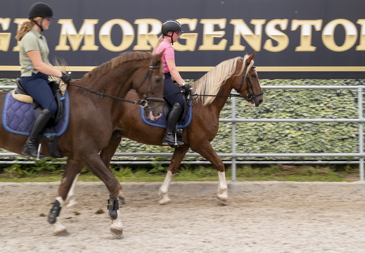 20210926-Morgenstond-317