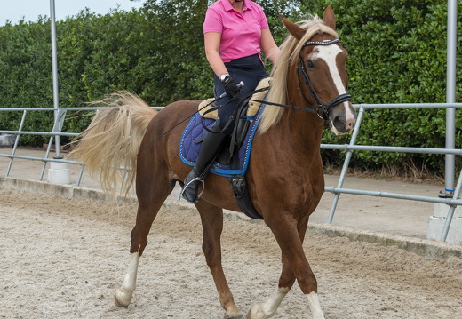 20210926-Morgenstond-319