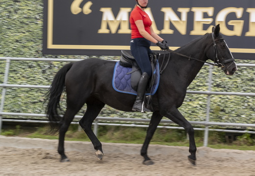 20210926-Morgenstond-321