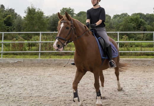 20210926-Morgenstond-323