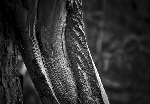 20211008-LageVuursche-125