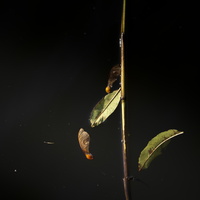 20211029-Loenen-110
