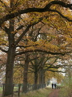 20211114-Loenen-106
