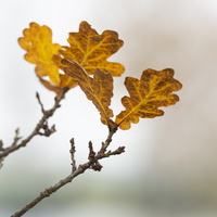20211114-Loenen-109