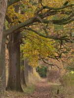 20211114-Loenen-110