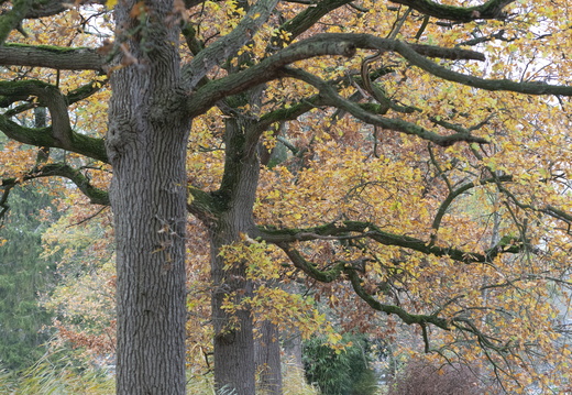 20211114-Loenen-111