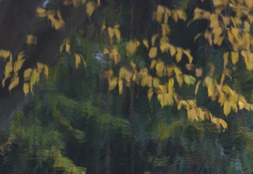 20211114-Loenen-113