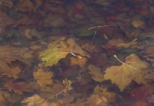 20211114-Loenen-114
