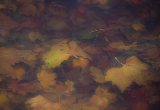 20211114-Loenen-115