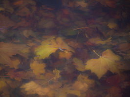 20211114-Loenen-115