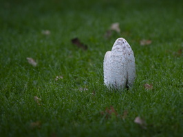 20211114-Loenen-14