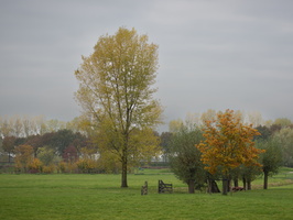 20211114-Loenen-22