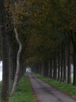 20211114-Loenen-29