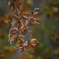 20211114-Loenen-33