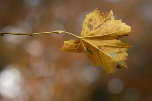 20211119-Loenen-107
