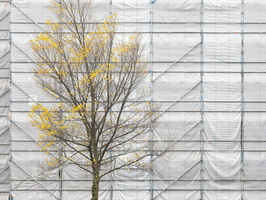 20211120-Amsterdam-112