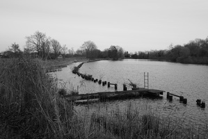 20211207-14-1001