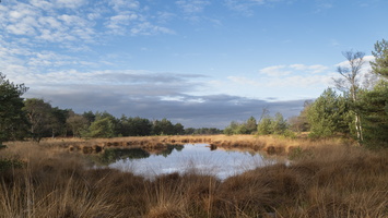 20211211-Kosharetrailvervangingswandeling-Kampina-104