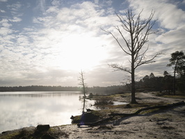 20211211-Kosharetrailvervangingswandeling-Kampina-124