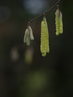 20220114-Loenen-103