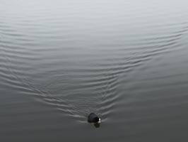 20220114-Loenen-110
