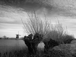 20220212-Loenen-114